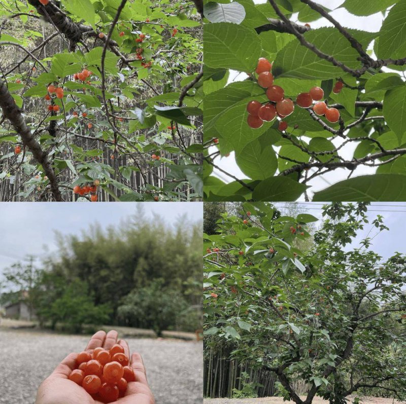 定远县委统战部发挥乡贤作用聚力财政推动_